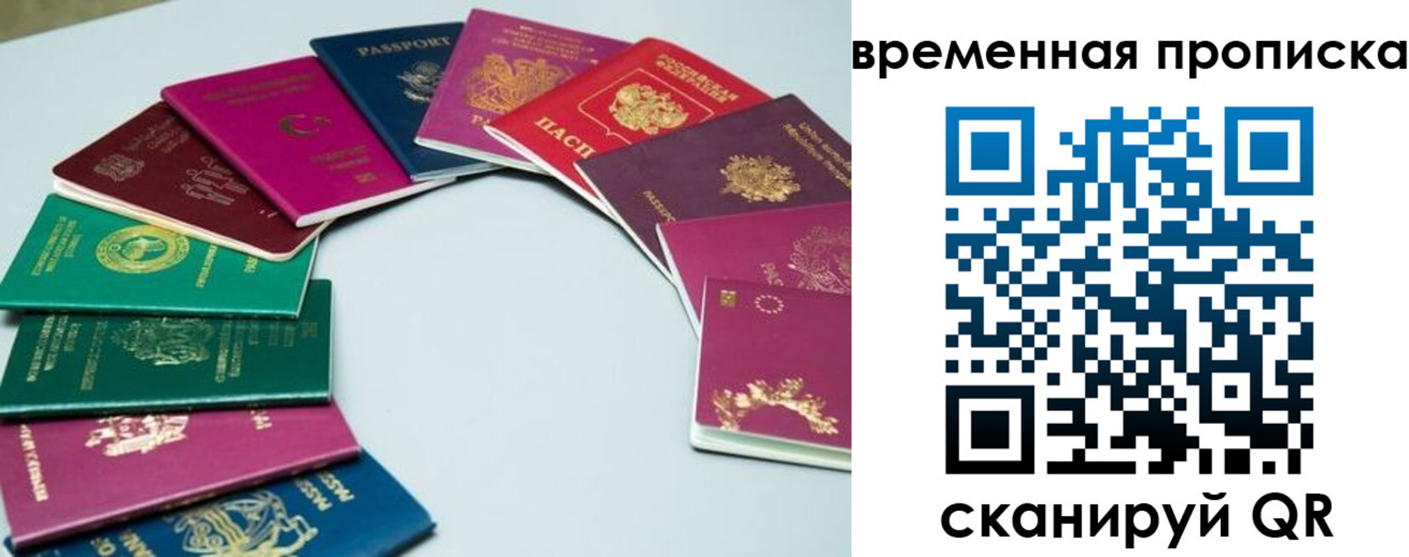 найти адрес прописки в Зее